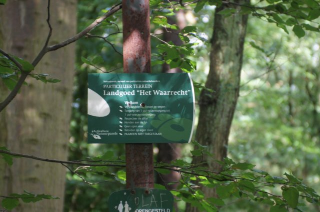 dsc03842.jpg