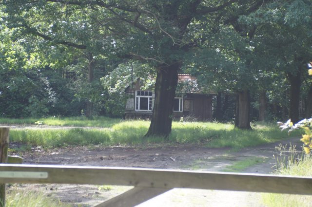 dsc03845.jpg