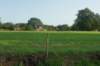 dsc04027_small.jpg
