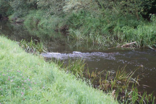 dsc04436.jpg