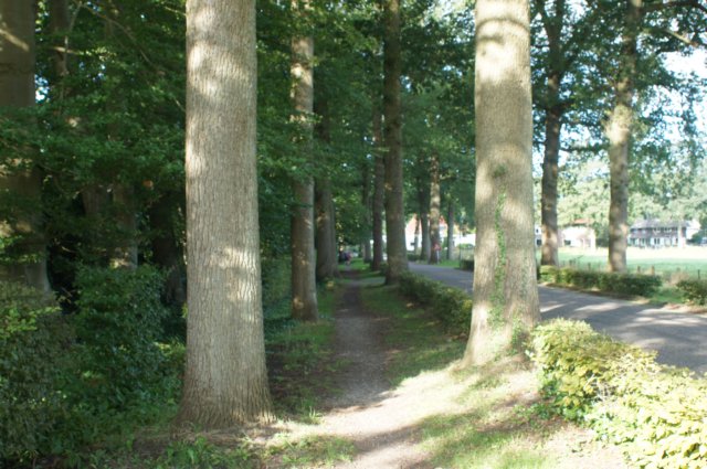dsc05027.jpg