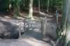 dsc05029_small.jpg