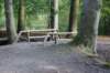 dsc05032_small.jpg