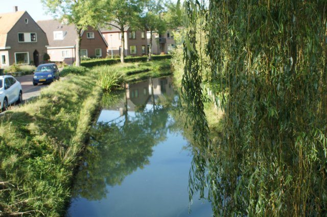 dsc05092.jpg