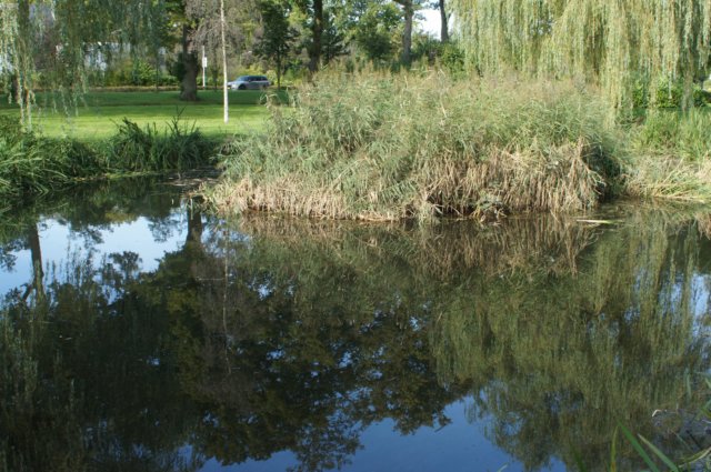 dsc05094.jpg