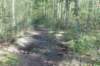 dsc03540_small.jpg