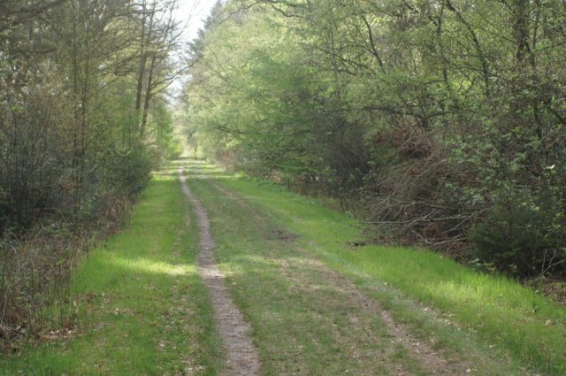 dsc03545.jpg