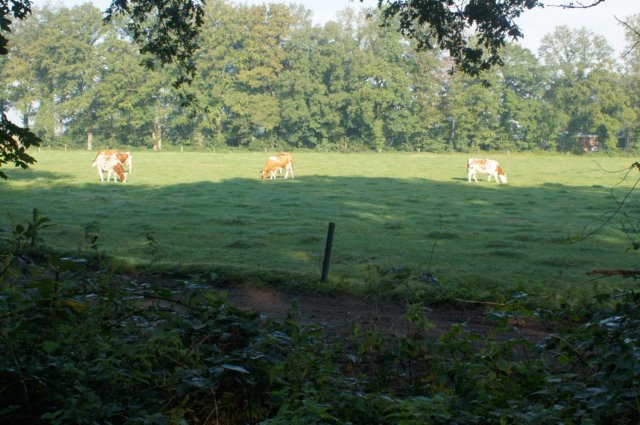 dsc05235.jpg