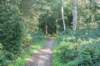 dsc05236_small.jpg