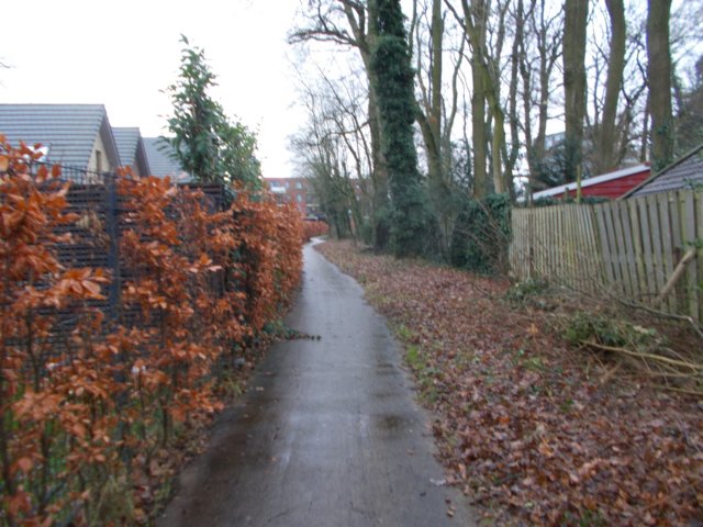 dscn0780.jpg