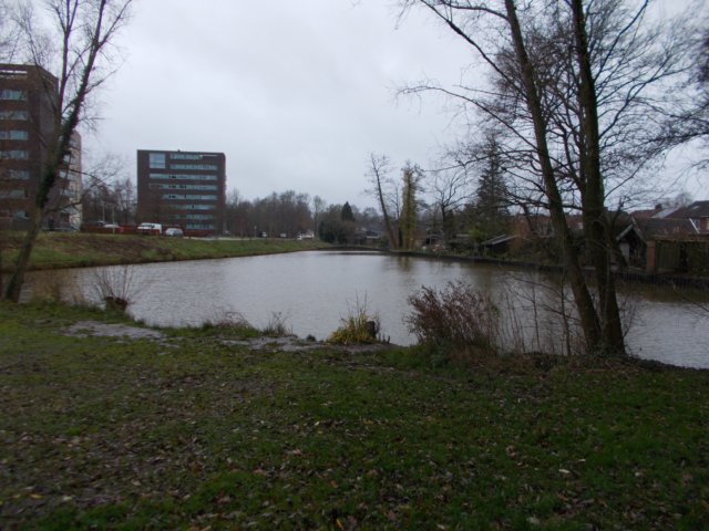 dscn0781.jpg
