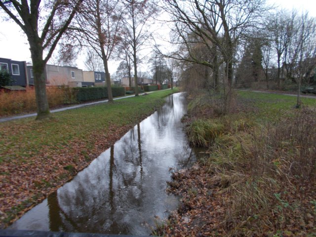 dscn0784.jpg