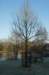 dsc02998_small.jpg