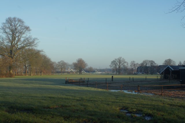 dsc03004.jpg