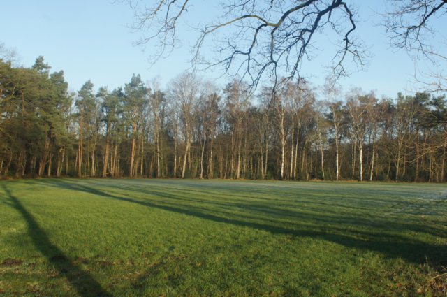 dsc03007.jpg