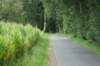dsc03966_small.jpg