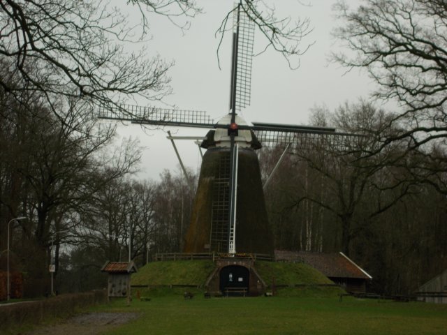 dscn0335.jpg
