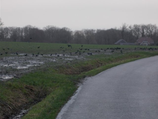 dscn0340.jpg