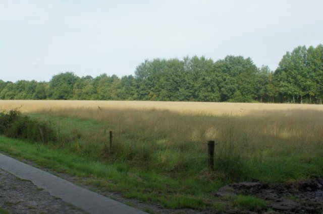 dsc04117.jpg