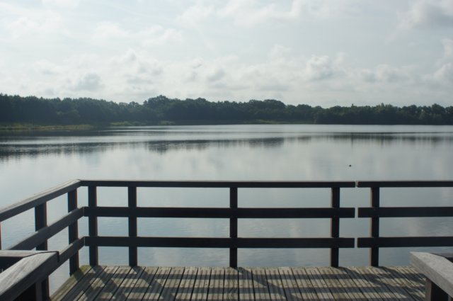 dsc04221.jpg