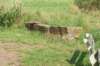 dsc04235_small.jpg