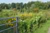 dsc04237_small.jpg