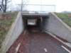dscn0364_small.jpg