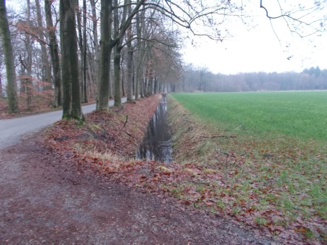 dscn0372.jpg