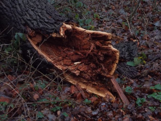 dscn0373.jpg