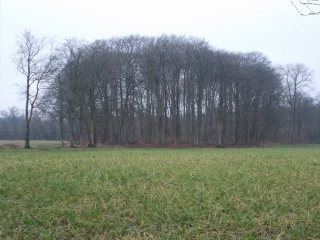dscn0378.jpg