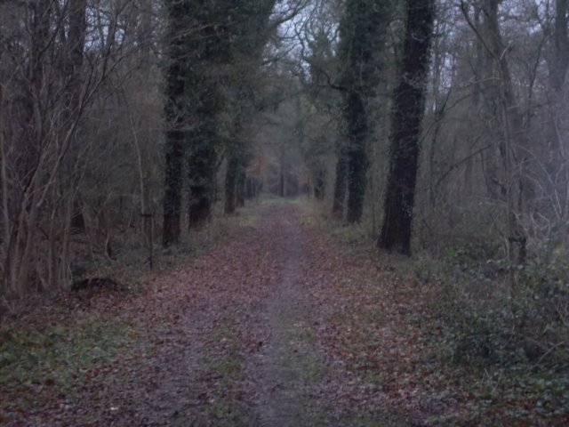dscn0388.jpg