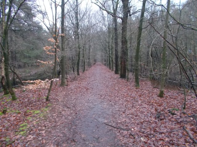 dscn0390.jpg