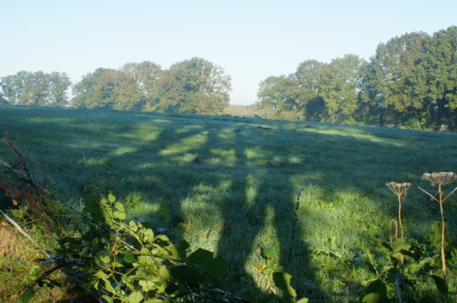 dsc05669.jpg