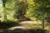 dsc05674_small.jpg