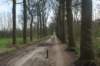 dsc03490_small.jpg