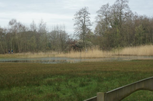 dsc03494.jpg