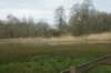 dsc03494_small.jpg