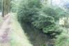 dsc04474_small.jpg