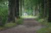 dsc04478_small.jpg