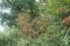 dsc04483_small.jpg