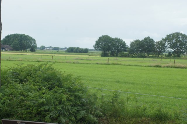 dsc03794.jpg