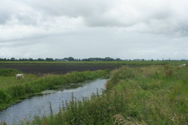 dsc03804.jpg