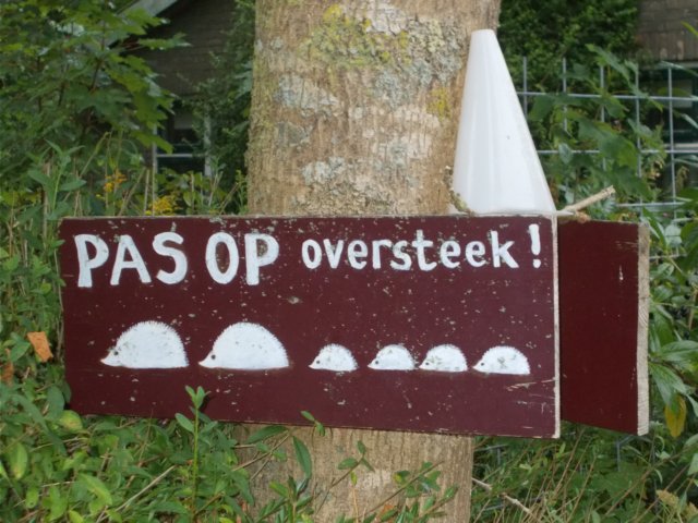 dscn0652.jpg