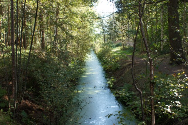 dsc05383.jpg