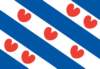 vlagvandeprovinciefriesland_small.jpg