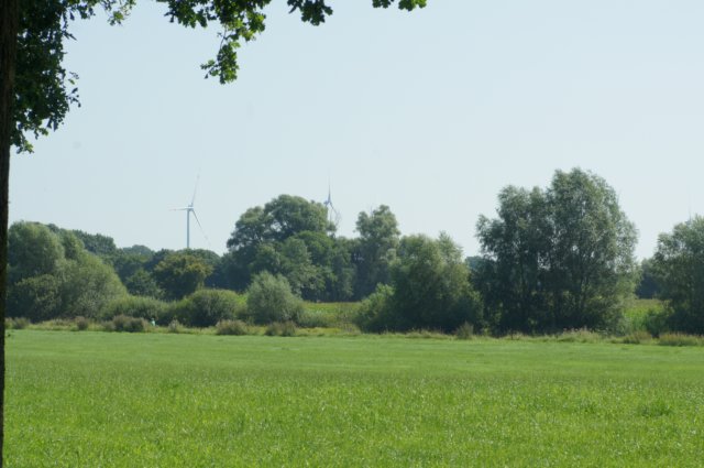 dsc04414.jpg