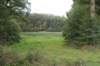 dsc04978_small.jpg