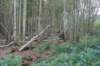 dsc04980_small.jpg