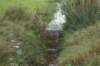 dsc04982_small.jpg