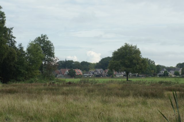 dsc05010.jpg